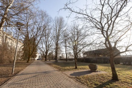 ������� ��������� ������. � ������ ��������������� ������ ��������������� ������ ����������� ������� � ������ �� �������