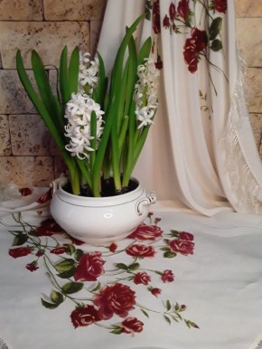 ��� ������� ��������� ���������� ������ ����� � ������� ����