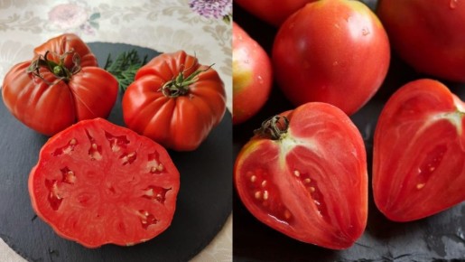 ����������� ����� ������� ��� �������: 4 ����������� ������