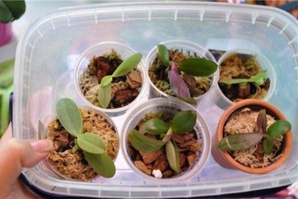 ��� ��������� ���������� �������: ������� ������ � ��������� ������������