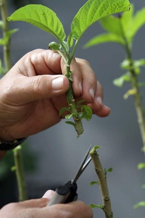 ���� � ����� ������������: ������� ��������� ���������� ��������