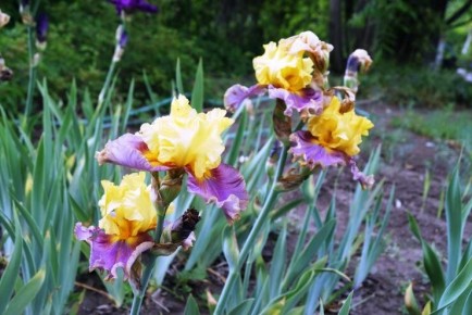 ����� ��������� �����: ������ �� ����� � ������ � �����������