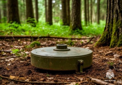 �������� �����. ���� ������ ����������� ����� ��������� ������� ������������� �����, ����� ������ � ���� ������������ �������� ��������