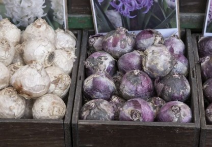 ��� ����������� �������� � ������� ������� ��� ��������� ��������