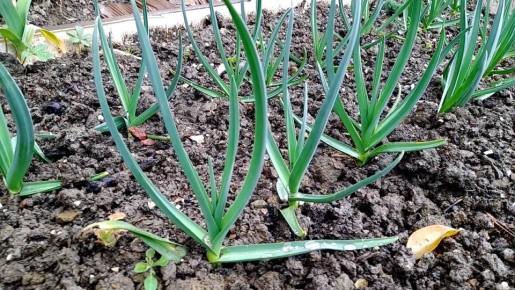 ���� �� �������� � ���: ������� �������� ������