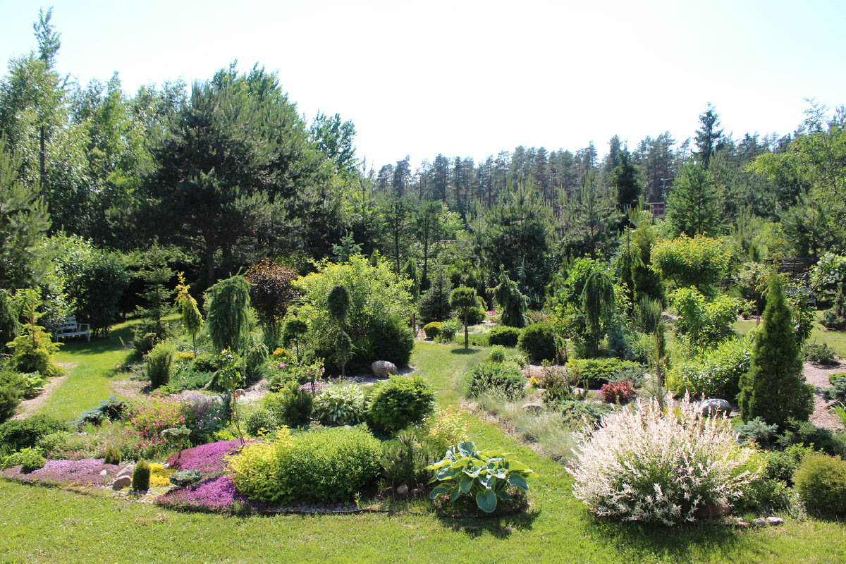 Секреты волшебного сада Александры Пушкаревой