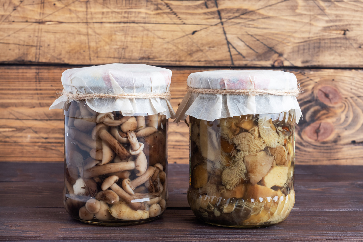 Необычные рецепты маринованных грибов, которые удивят вас
