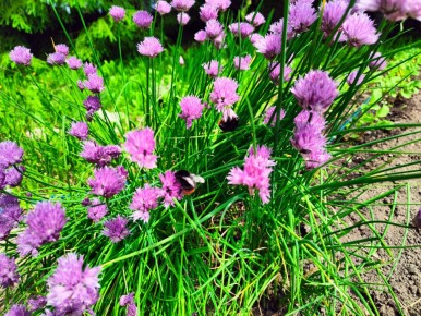 ��������� ���� �� �������: ����������� ������� ���� � ������� ���������