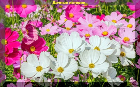 ���������� ������: ������� �� ���������� ��� ������ �������