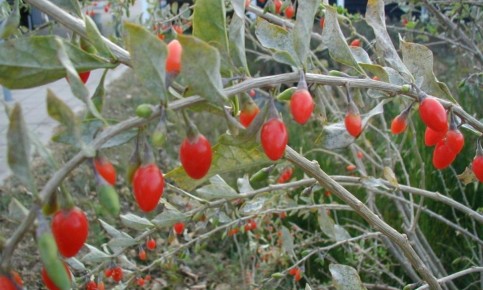 ��� ������� ��������� �����: ������� ����� � ����� ������