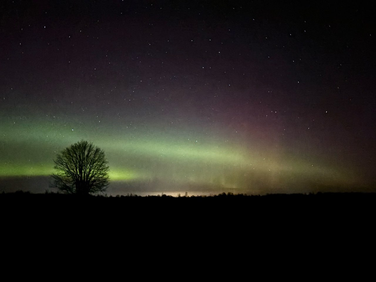 Северное сияние над Псковской областью в посёлке Палкино запечатлел корреспондент Псковской Ленты Новостей в ночь с 22 на 23 марта
