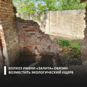 Суд поддержал требования Росприроднадзора и обязал «Колхоз имени «Залита» компенсировать вред, причиненный почвам в Псковской области