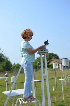 ������ ����������: ���������� ����������� ���������� ������ �� ����������������� � ����������� ���������� ����� � ���������������� ����������!