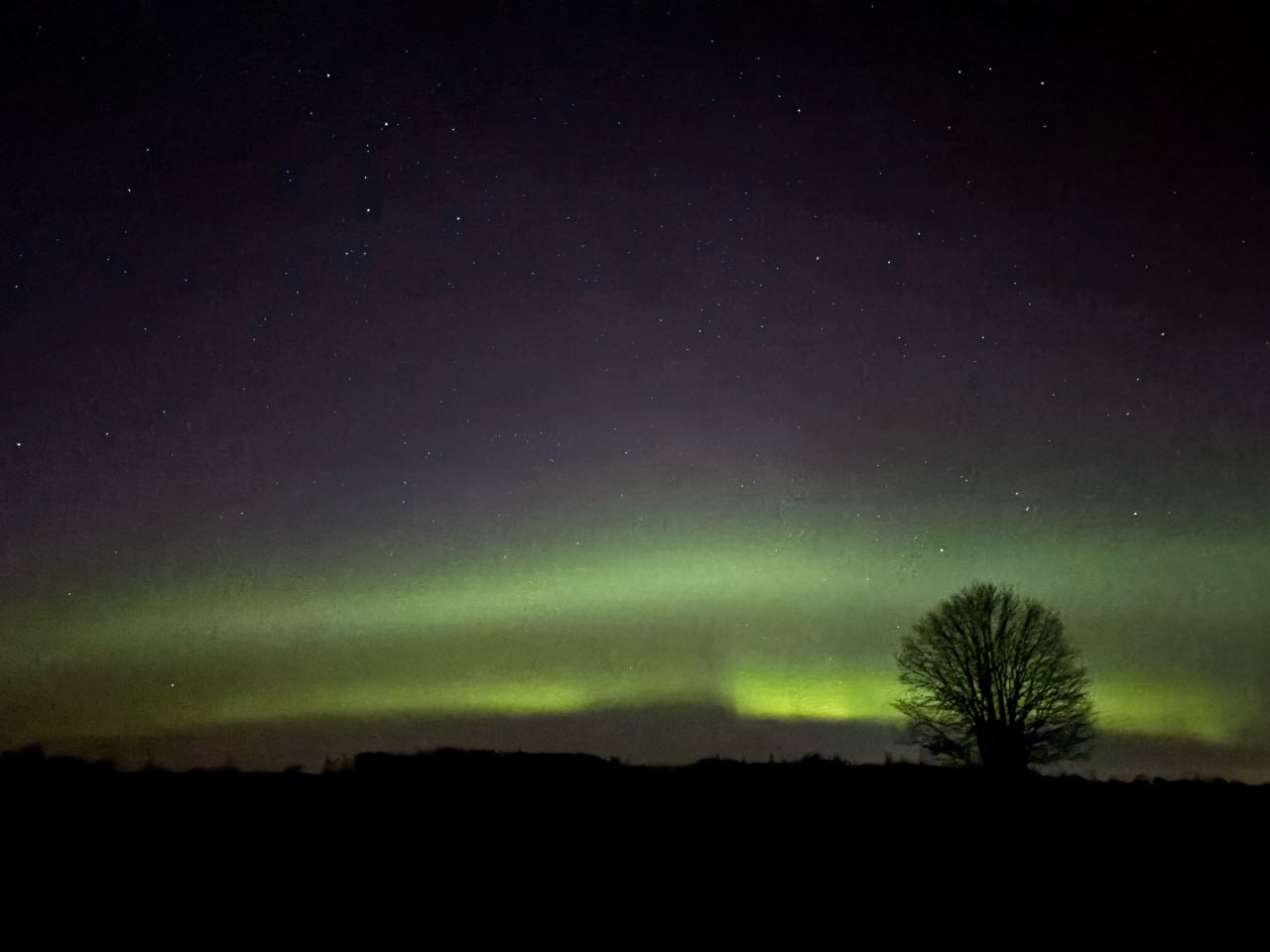 Северное сияние над Псковской областью в посёлке Палкино запечатлел корреспондент Псковской Ленты Новостей в ночь с 22 на 23 марта Северное сияние над Псковской областью в посёлке Палкино запечатлел корреспондент Псковской Ленты Новостей в ночь с 22 на 23 марта