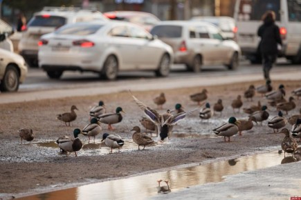 �� +14 �������� ������������ � ��������� ������� 24 �����