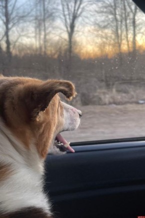 �������� ��������� �������� �������� � ���������� ������