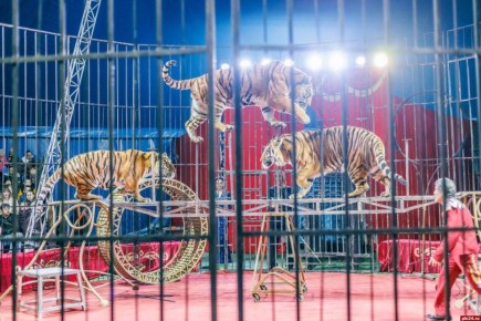 ���� ������� ���������� � ������