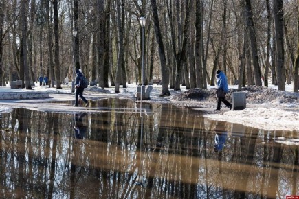 ������� � ��������� ������� ������ ��������