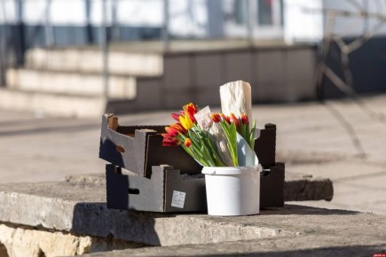 До +17 градусов прогнозируют в Псковской области 29 марта