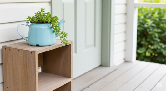 ������ ����� ������� �����: ������������� ���� ��� ����������� � ����� ����