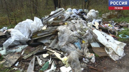 Суд обязал Минприроды Псковской области ликвидировать свалки у дороги на Порхов