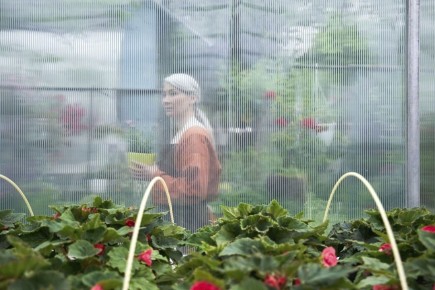 ��� ��������� ������� �� �������������: ������� ��� ��� ��������