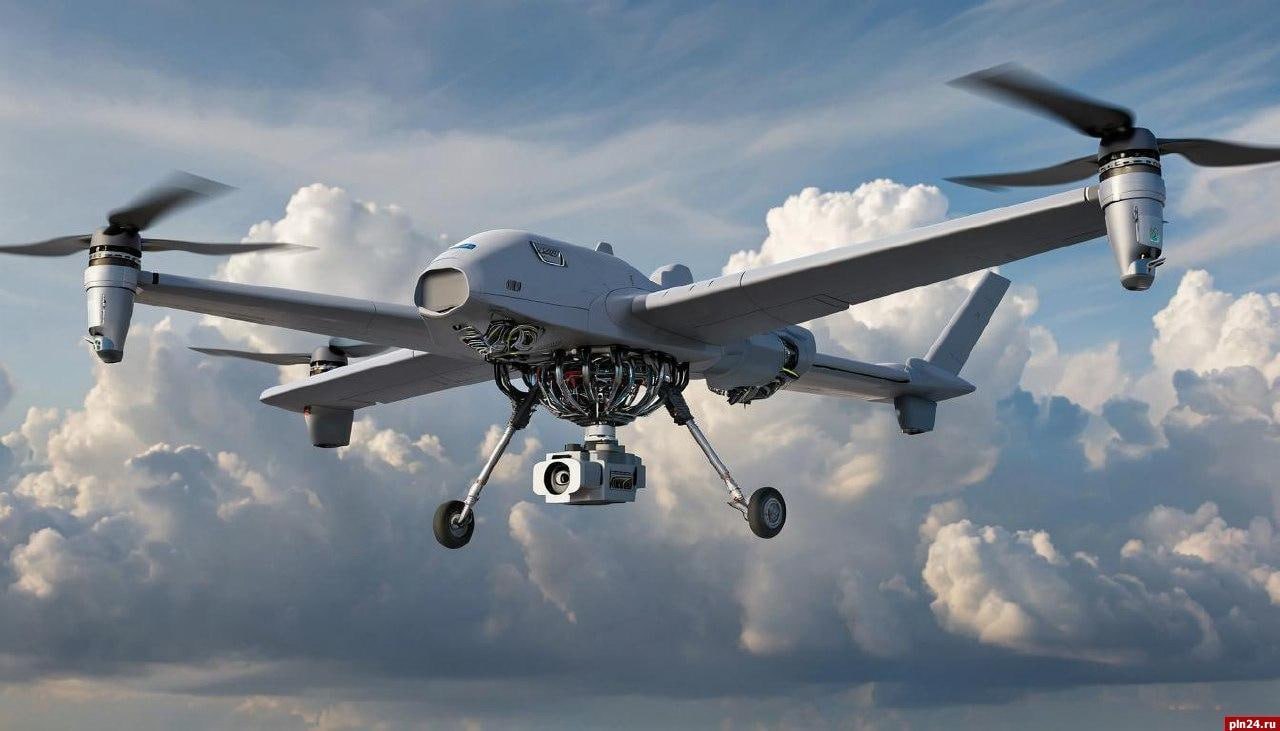 Два украинских беспилотника уничтожили в Псковской области