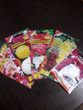 Секреты успешной посадки цветов: семена, которые стоит посеять до Нового года