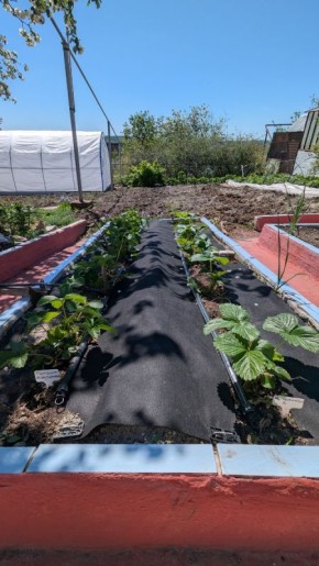 ������������ ������ ��������: ����� �� ��� �������� ������ ��������?