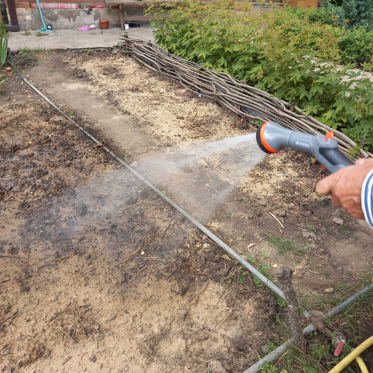 Что посадить после чеснока: тайны сидератов и их польза