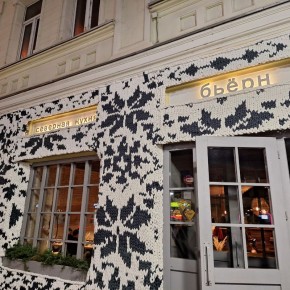 �������� ����������: ���������������� ���� � ��������� Bjorn