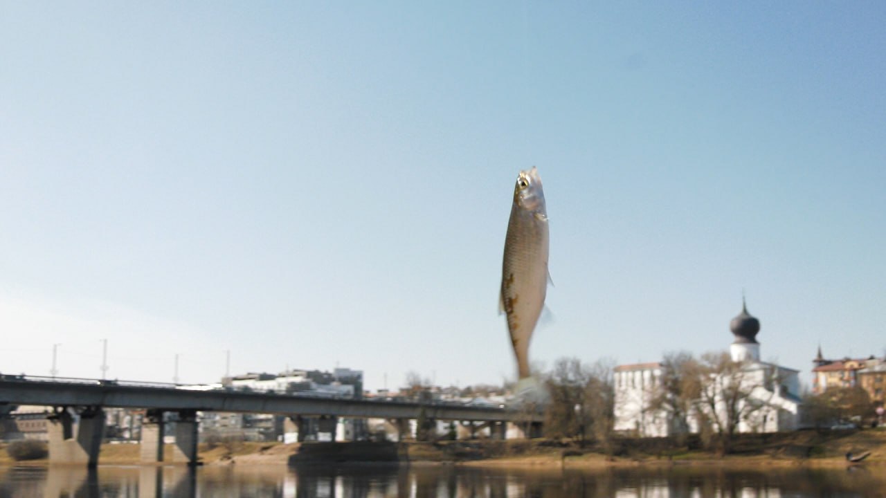 С приходом весны река Великая становится главной точкой притяжения Пскова для рыбаков С приходом весны река Великая становится главной точкой притяжения Пскова для рыбаков