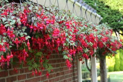 ��� ������� ��������� �������� ��� ������ ����