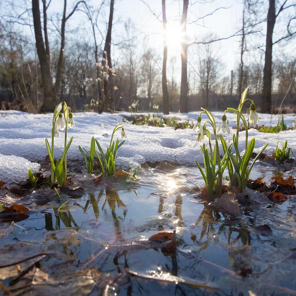 2 апреля псковичей ждёт:. Переменная облачность — местами солнышко, местами облака, но без дождя!