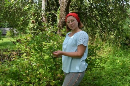 Почему осенью не стоит подкармливать смородину азотом