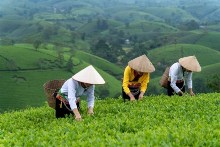 ����� ��������� ��� ������� ������������ � �����