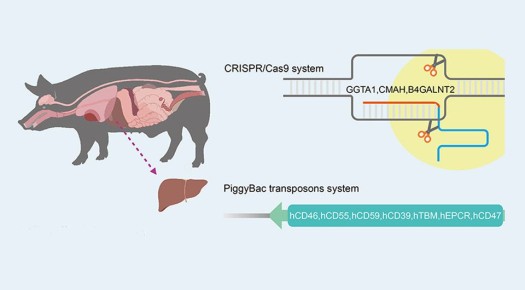 ���������� ��������: ������ ������ ������������ ����� �������� �����