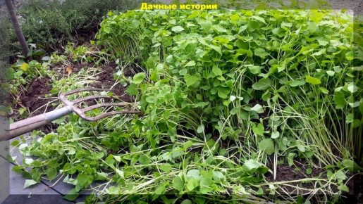 ��������: ������������� ��������� ��� ������ ����������?