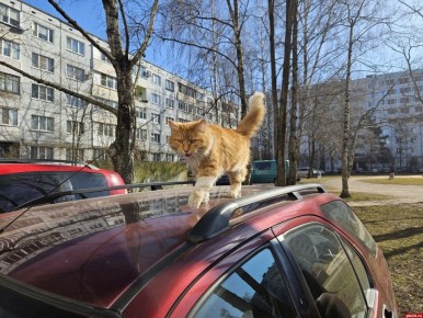 �� +15 �������� ������������ � ��������� ������� 2 ������