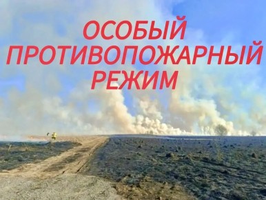 На территории Псковского округа введен ОСОБЫЙ ПРОТИВОПОЖАРНЫЙ РЕЖИМ!