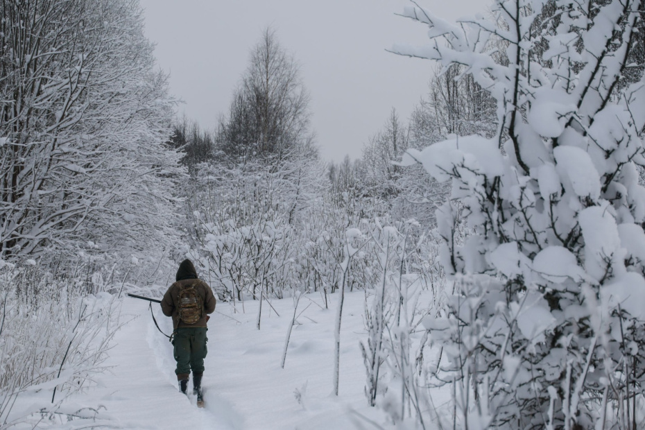 Госдума одобрила изменение границ ООПТ: что это значит для природы?