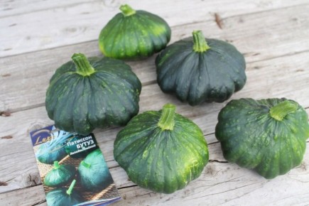 Патиссоны: незаслуженно забытые овощи, которые стоит вырастить в своем саду