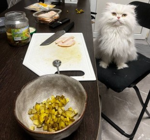 ��������� ���������������� ��������