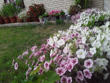 �������: ������� ��������� �������� ��������