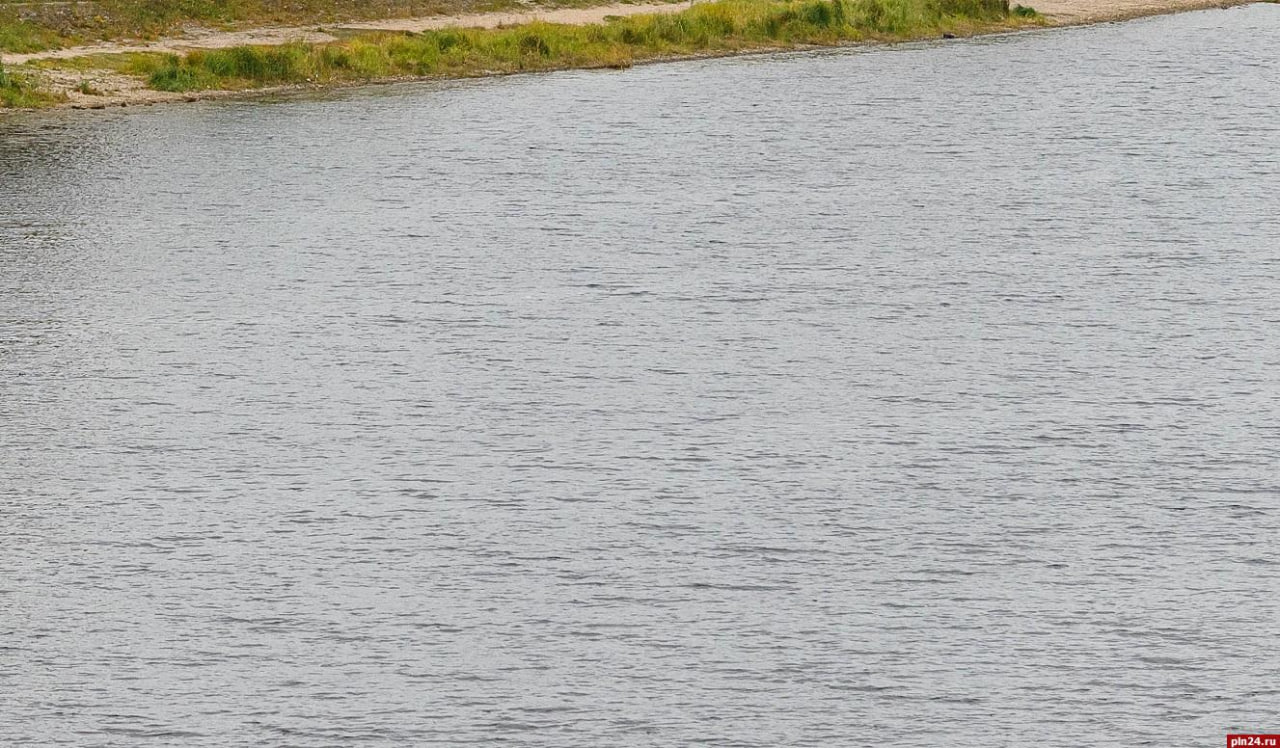 Труп жителя Пскова обнаружили в реке в Финском парке