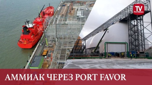 В порту Усть-Луга готовятся запустить вторую очередь терминала «Порт Фавор»