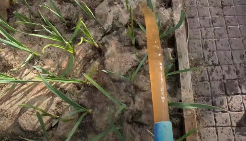 ������������ � ����� ������������� ��������������