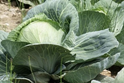 ��� ��������� ������ ������ ������� ������� � �������: 7 ������ �����