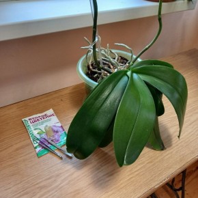 ��� ��������� ���������� ���������� � �������: ������� �������