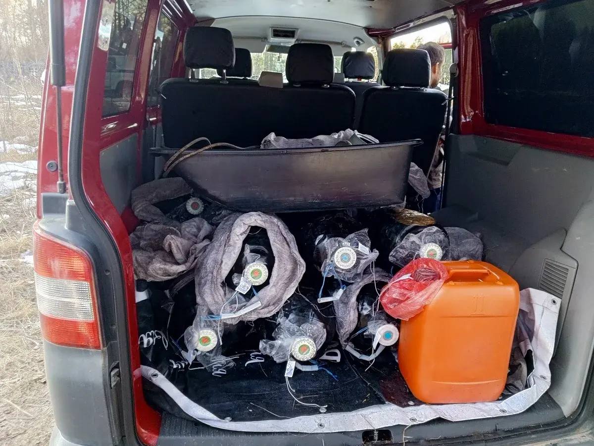 В Великих Луках сотрудниками транспортной полиции раскрыта кража дизельного топлива из подвижного состава В Великих Луках сотрудниками транспортной полиции раскрыта кража дизельного топлива из подвижного состава